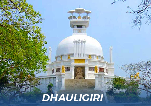dHAULI